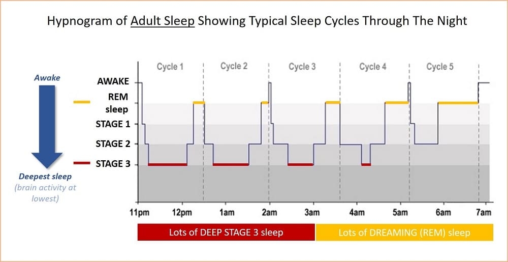 Stages Of Sleep