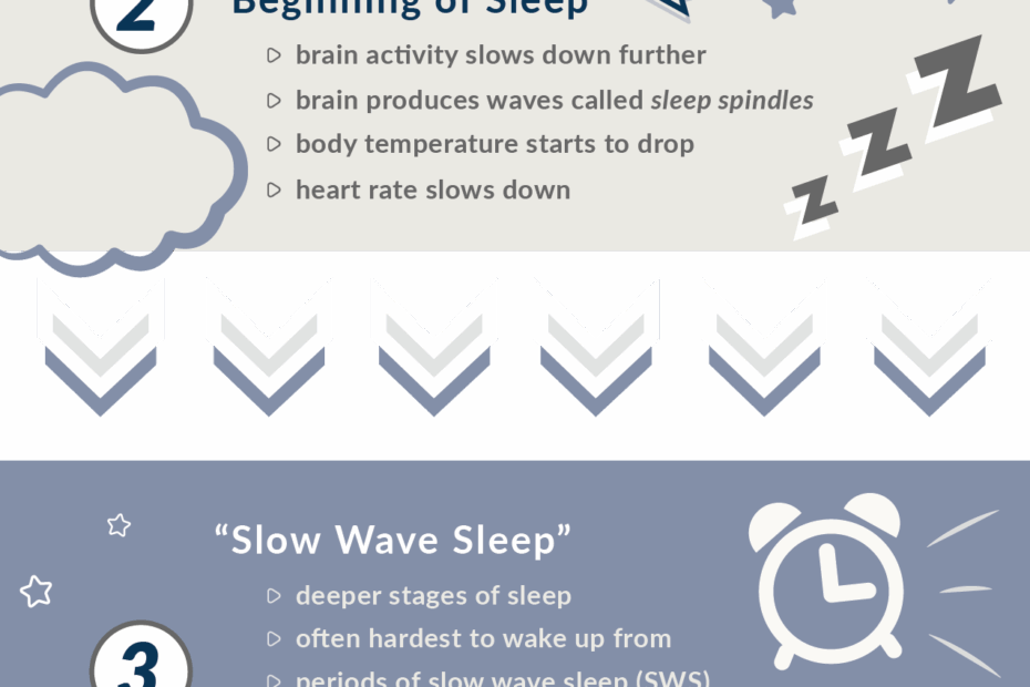 Stages Of Sleep Sleep Stages 4 Types Of Sleep Stages SleepScore