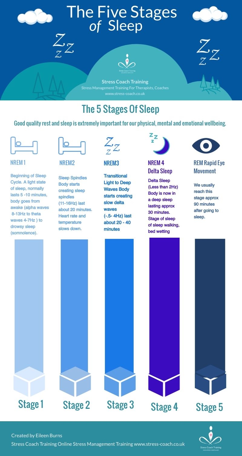 Stages Of Sleep