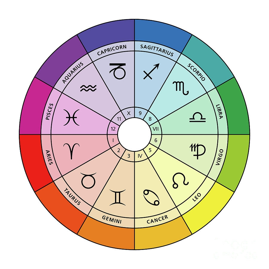 Star Signs And Their Colors In The Zodiac Astrological Chart Digital 