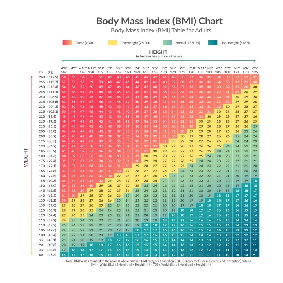 bmi chart for men bmi chart for men