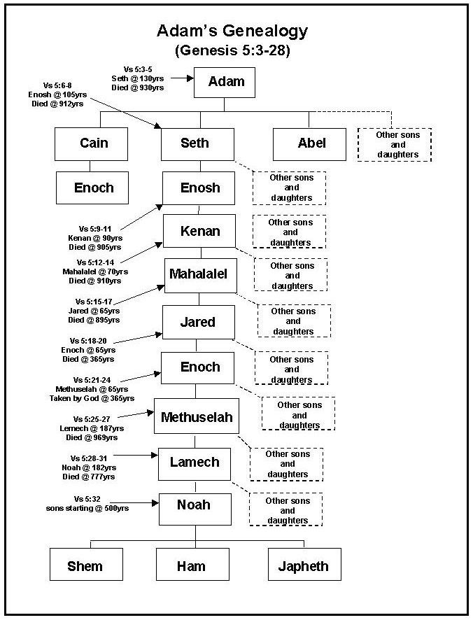 The Biblical Genealogy Chart Family Tree From Adam To Jesus Etsy Artofit