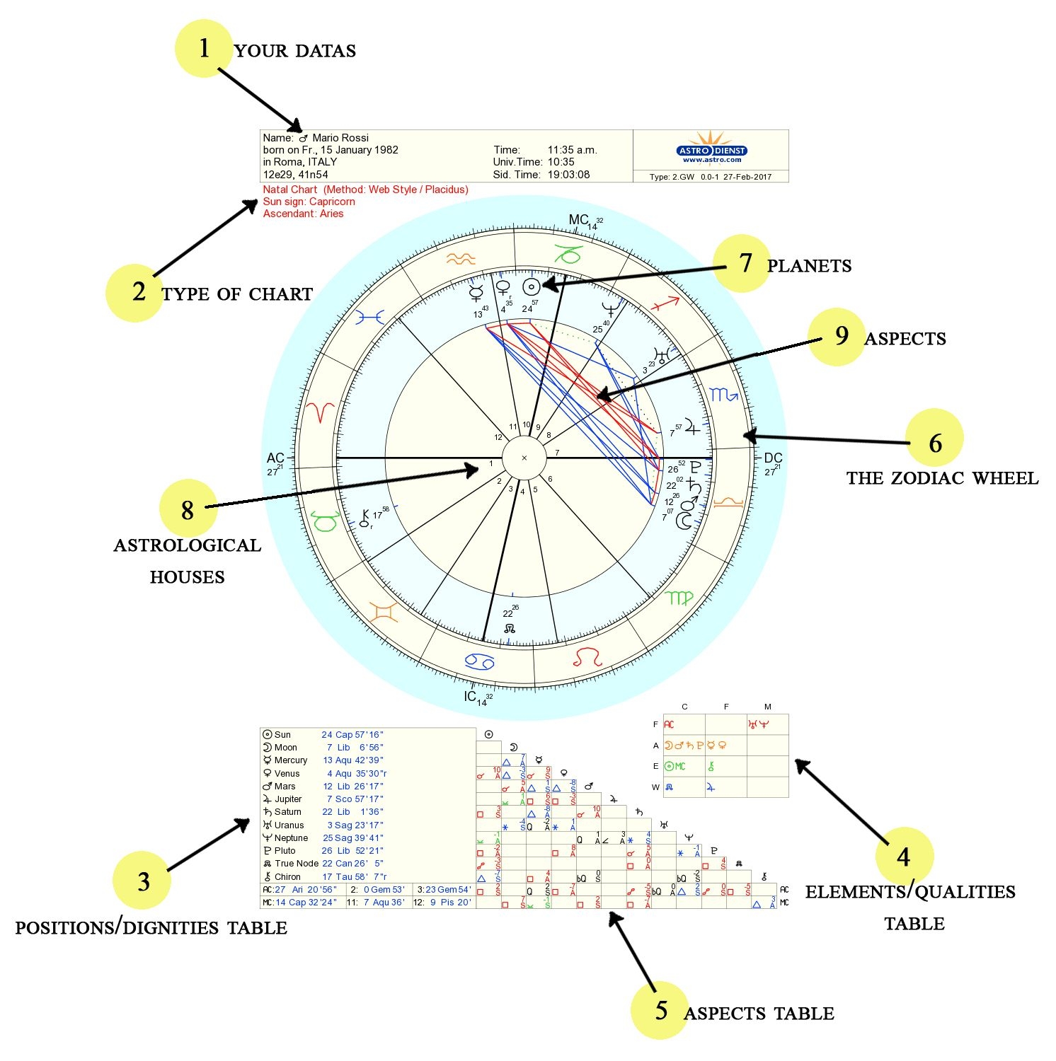 The Birth Chart Understanding The Graph How It Works And Why It s An The Birth Chart Understanding The Graph How It Works And Why It s An