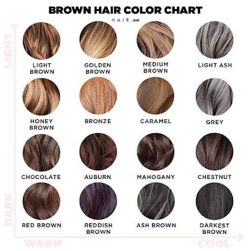 The Ultimate Brown Hair Color Chart Hair By L 39 Or al