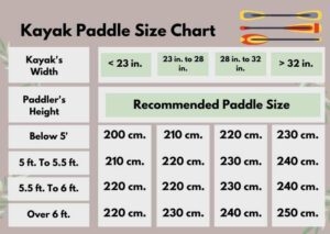 The Ultimate Guide To Kayak Paddle Size With Chart PyeNye