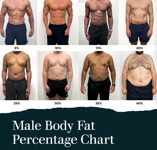 The Visual Guide To Understanding Body Fat Percentage