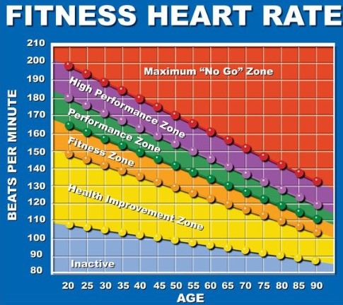 Three Ways To Measure Your Cardiovascular Fitness