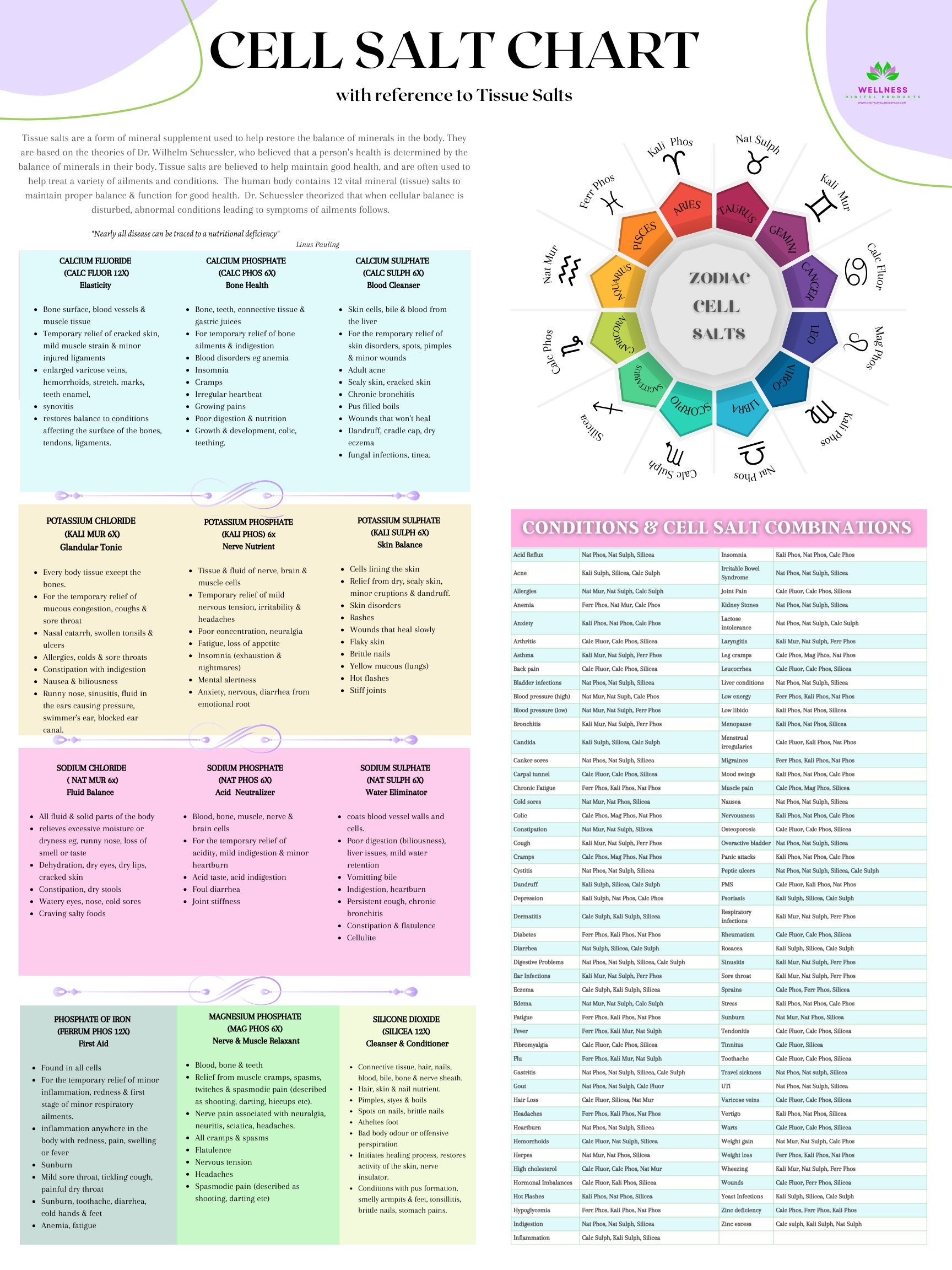 TISSUE CELL SALT Digital Chart Etsy