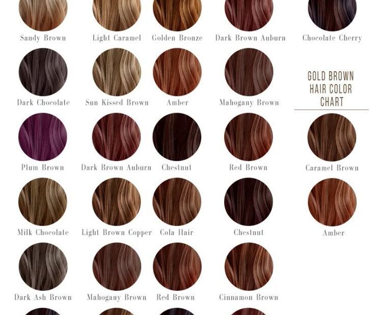 Types Of Brown Hair Color Chart Top 173 Mocha Brown Hair C