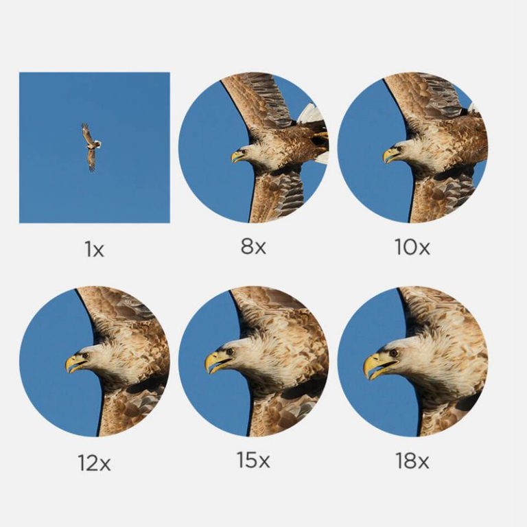 Understanding Binocular Magnification Binocular Magnification Guide 