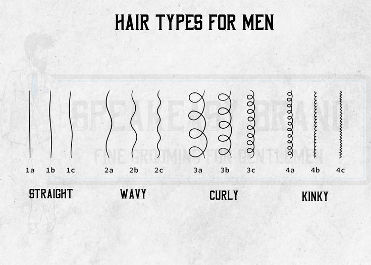 Understanding Men s Hair Types A Complete Guide Sciencequick