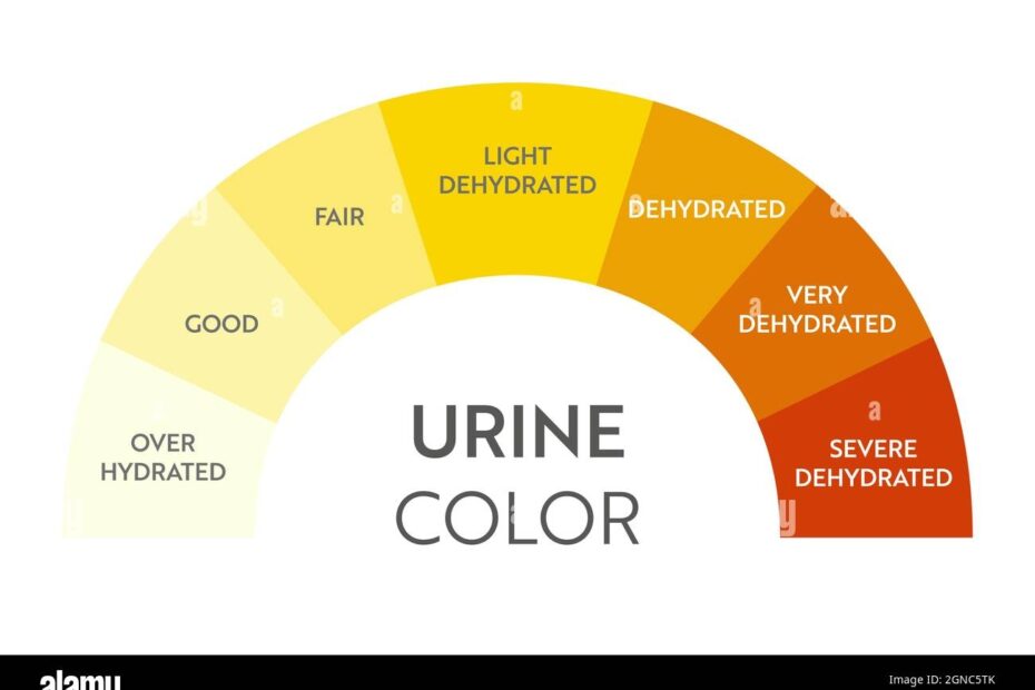 Urine Color Chart
