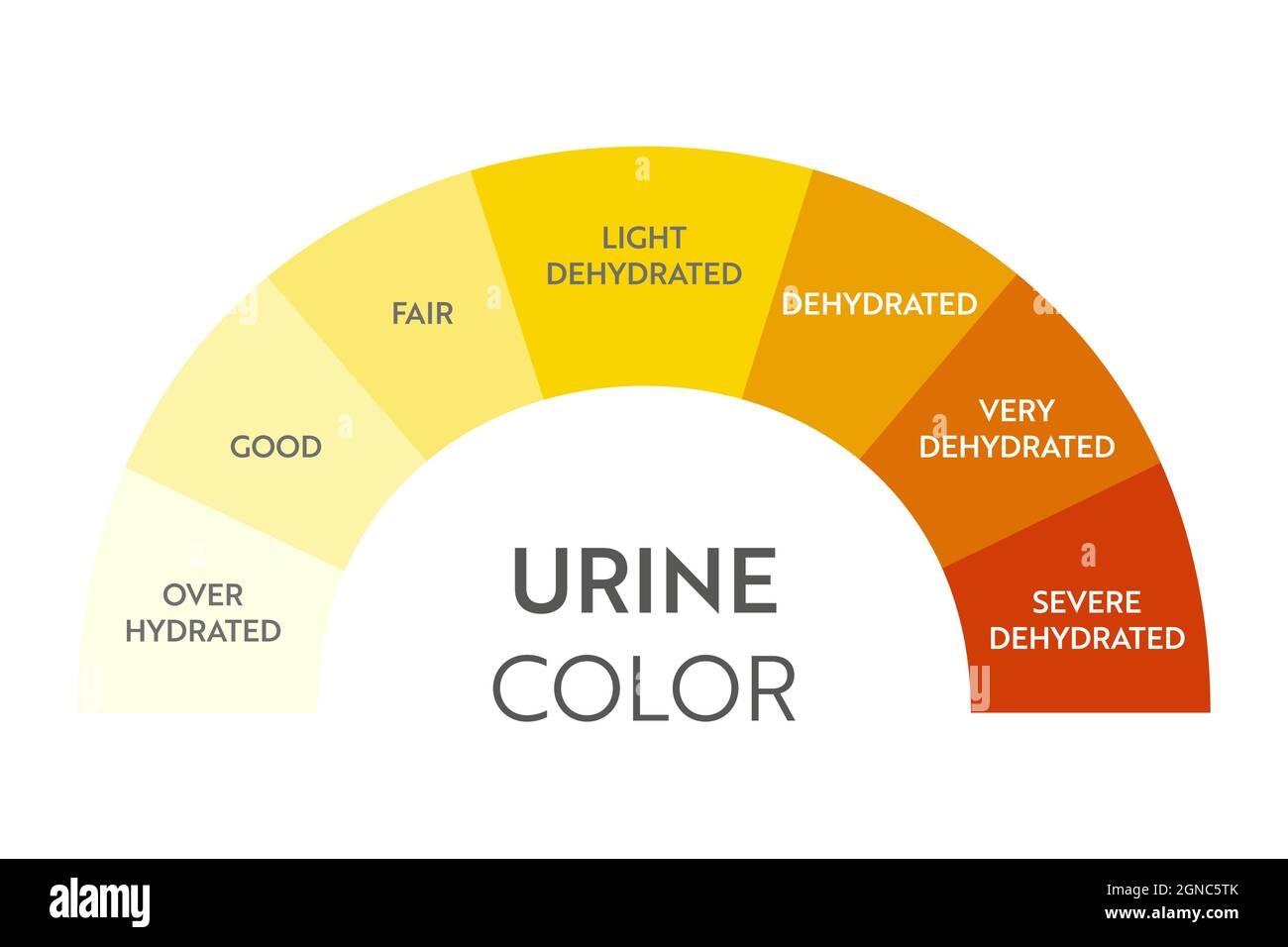 Urine Color Chart
