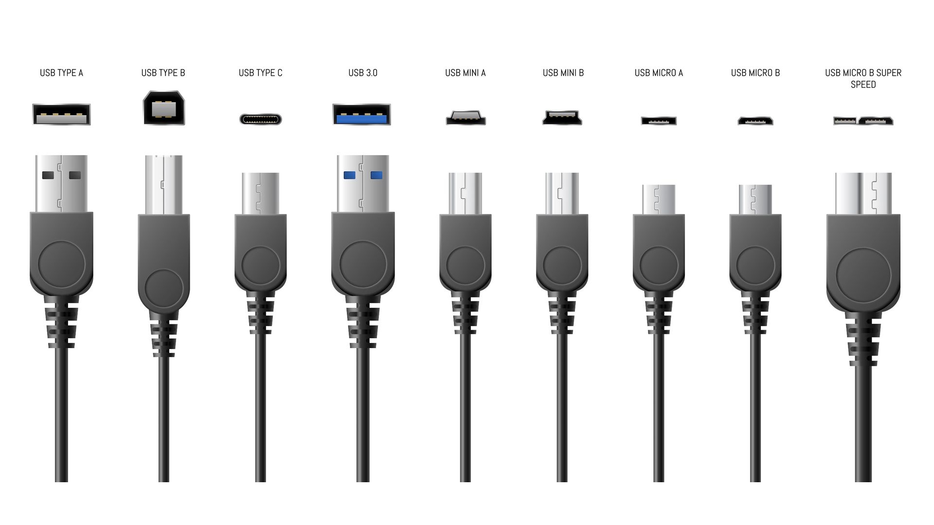 USB Explained All The Different Types and What They 39 re Used For 