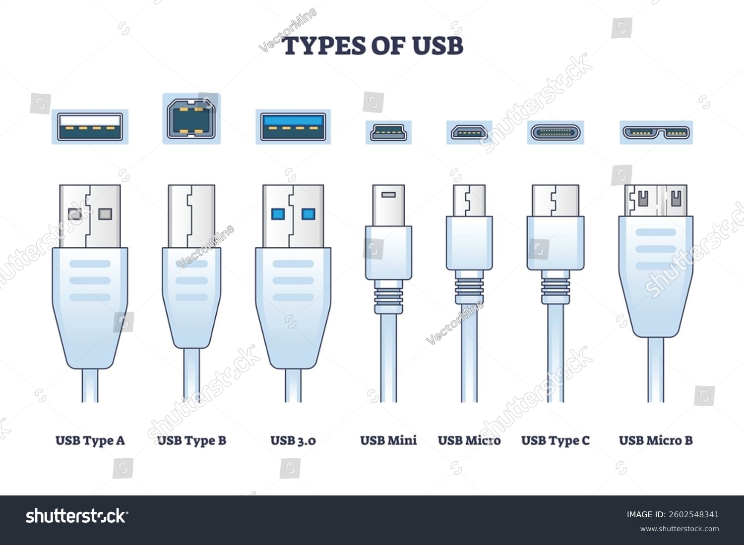Usb Types Diagram Shows Connectors Like Stock Vector Royalty Free 