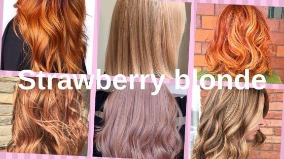 Use Strawberry Blonde Hair Color Chart For A Perfect Shade Belletag 