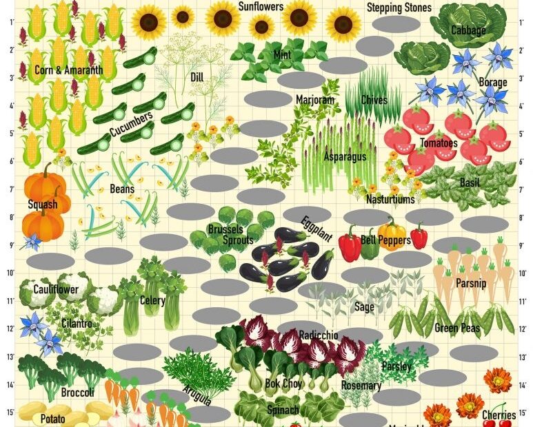 Use This Companion Planting Chart To Help Your Garden Thrive Live