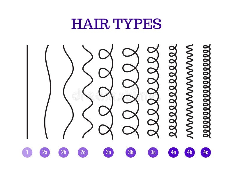 curl chart hair curl chart hair