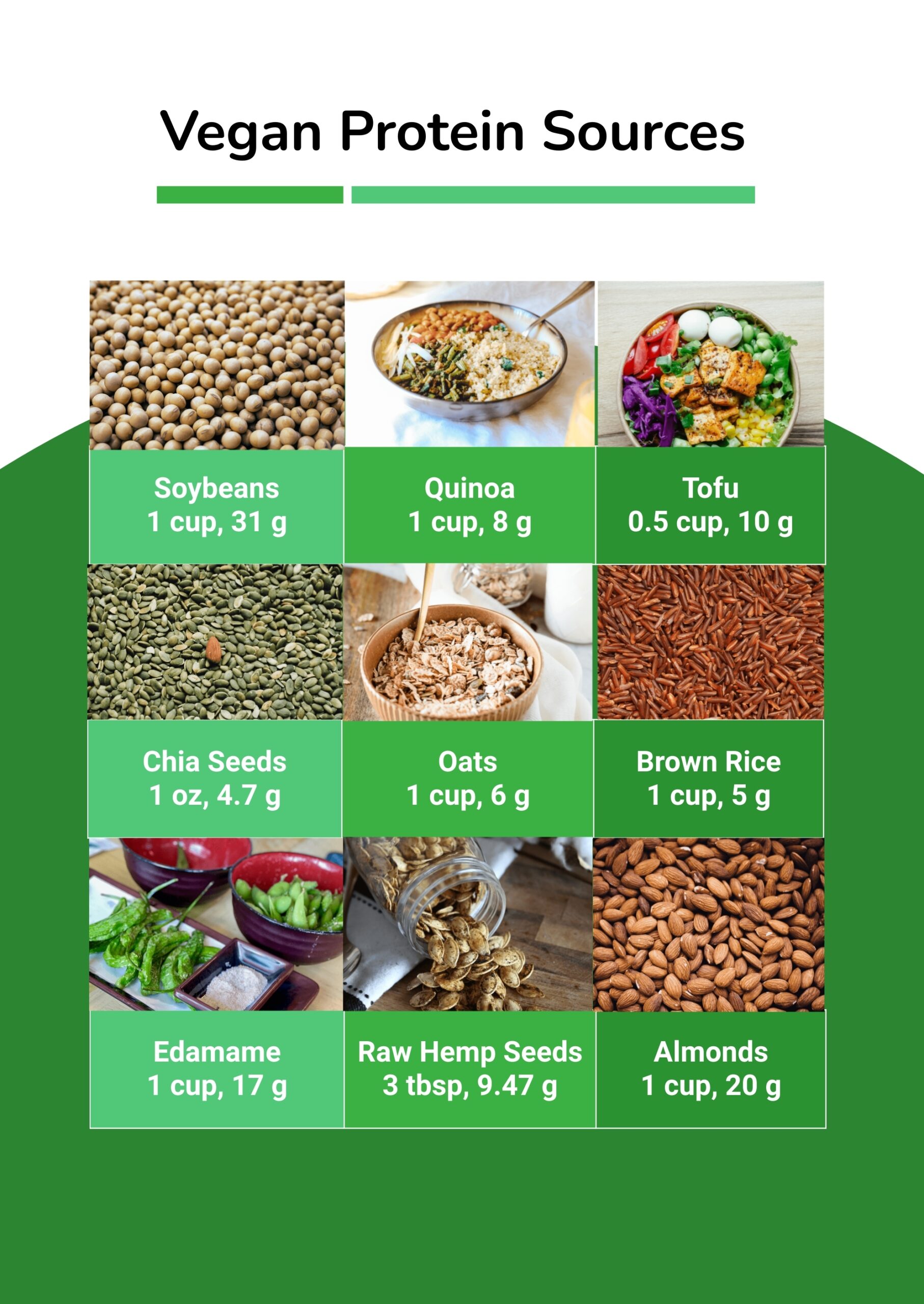 Vegan Protein Sources Chart In Illustrator PDF Download Template