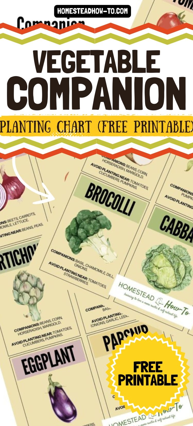 Vegetable Companion Planting Chart Free Printable 