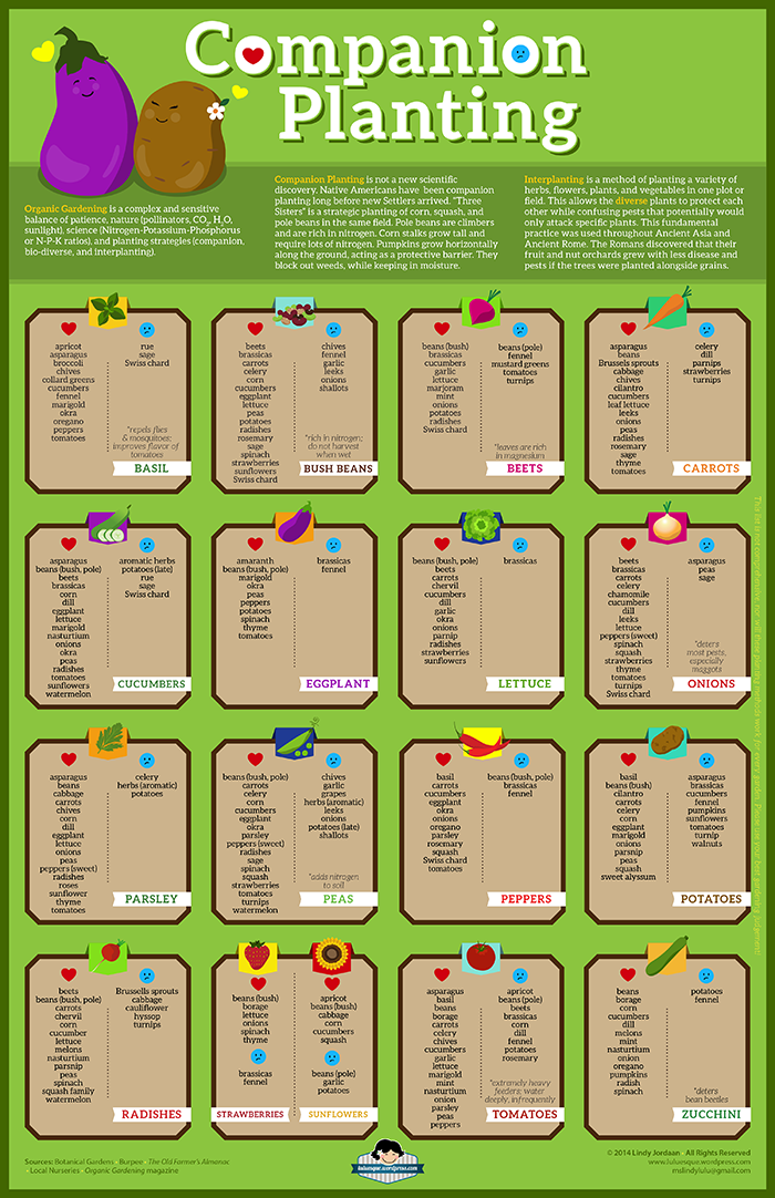 Vegetable Companion Planting Guide Printable