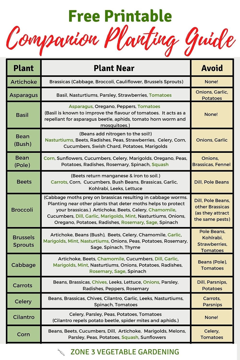 Vegetable Companion Planting Guide Printable