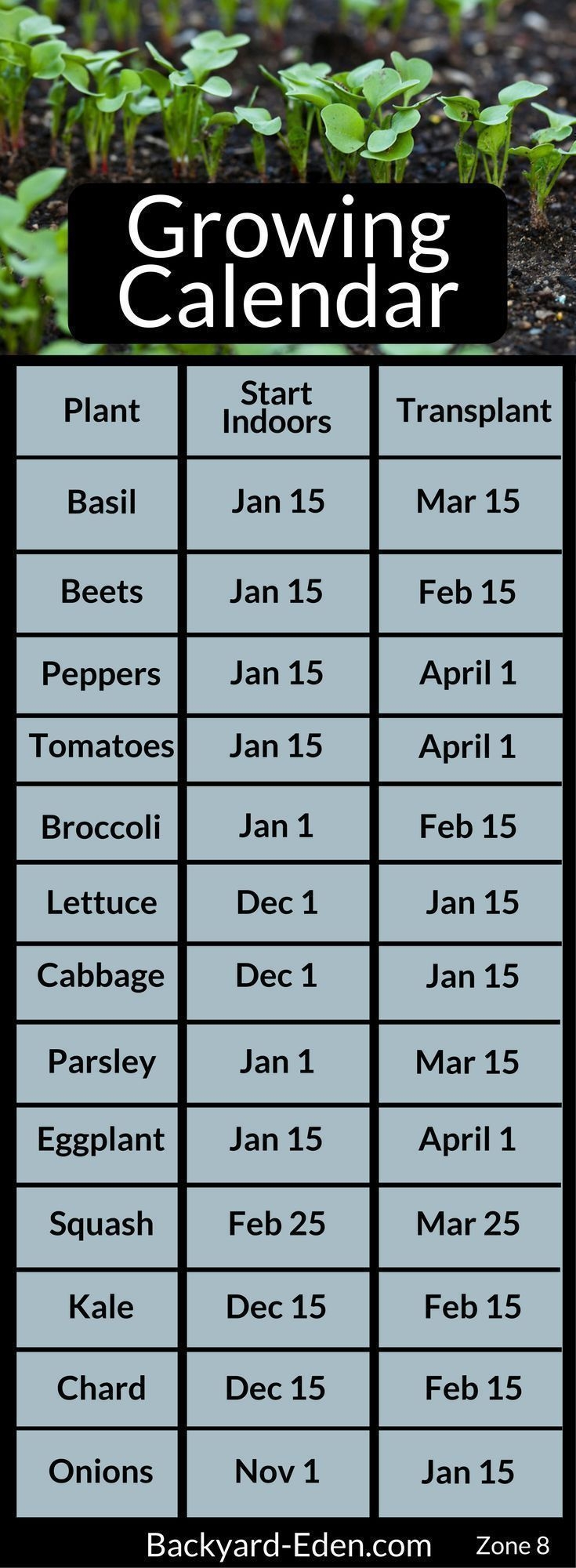 Vegetable Garden When To Plant How To Start Seeds How To Start 