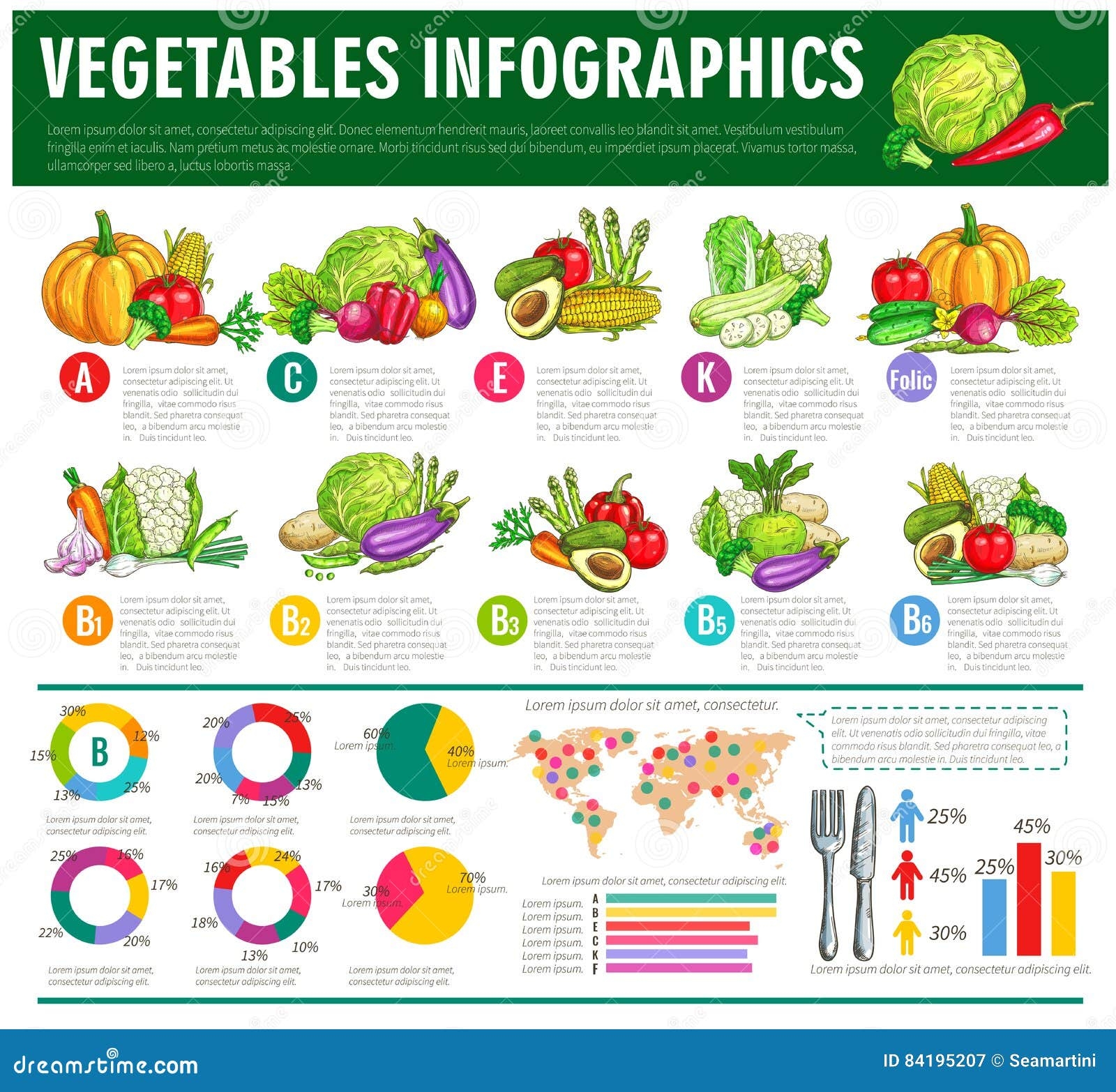Vegetables Healthy Food Vector Infographics Stock Vector Illustration 