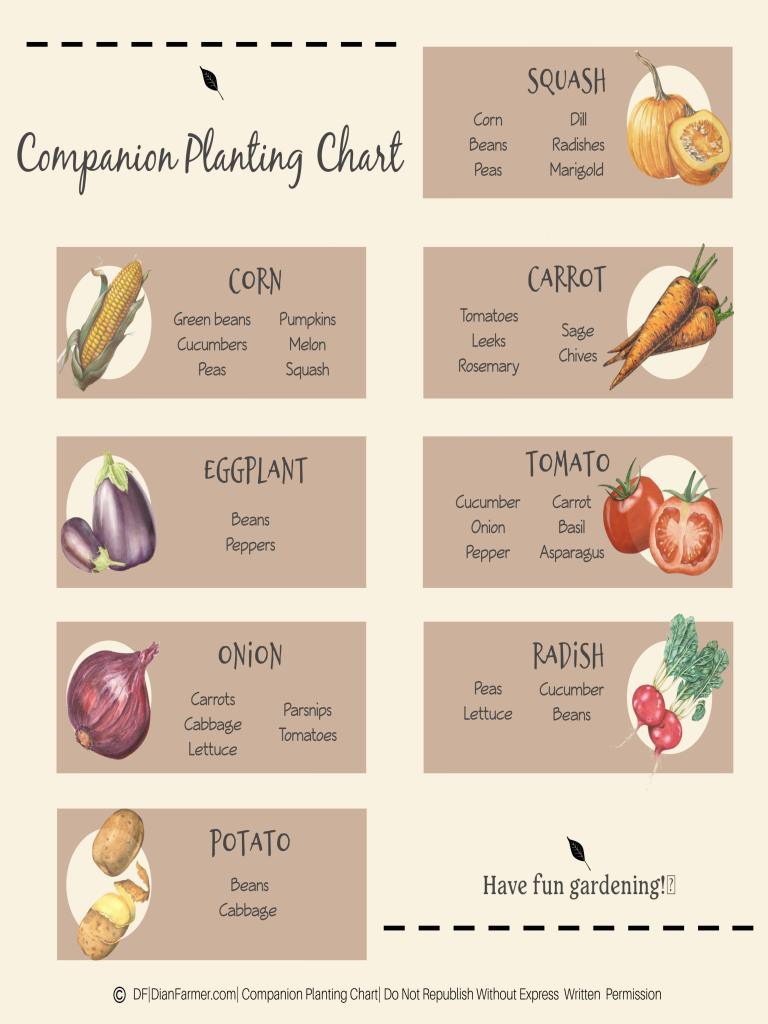 Veggie Companion Plant Chart The Ultimate Guide To Companion Planting