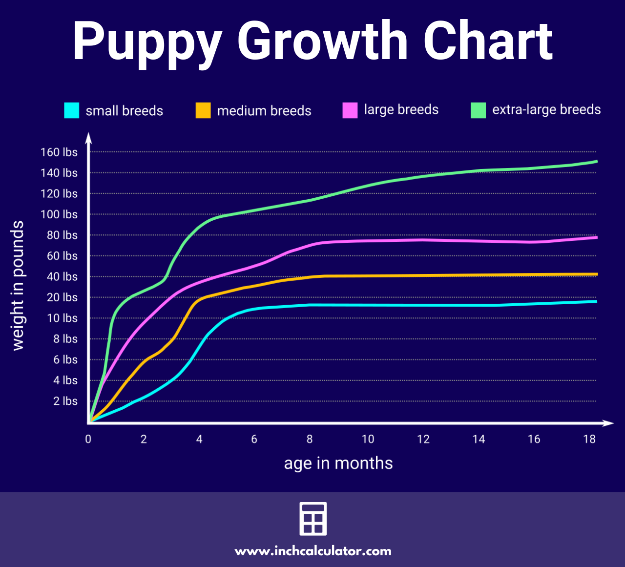 Weight Chart For Puppies Toy Poodle Puppy Growth Chart