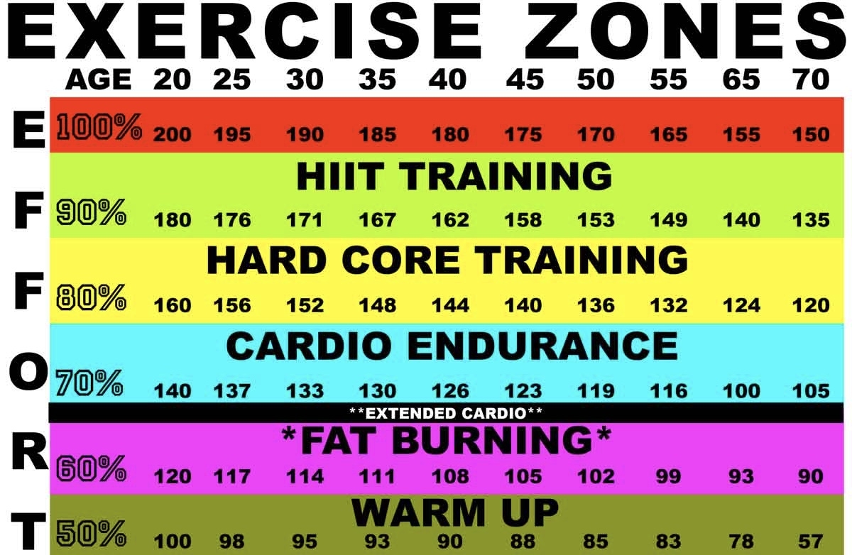 What 39 s Your Maximum Heart Rate And Why Does It Matter AX Fitness