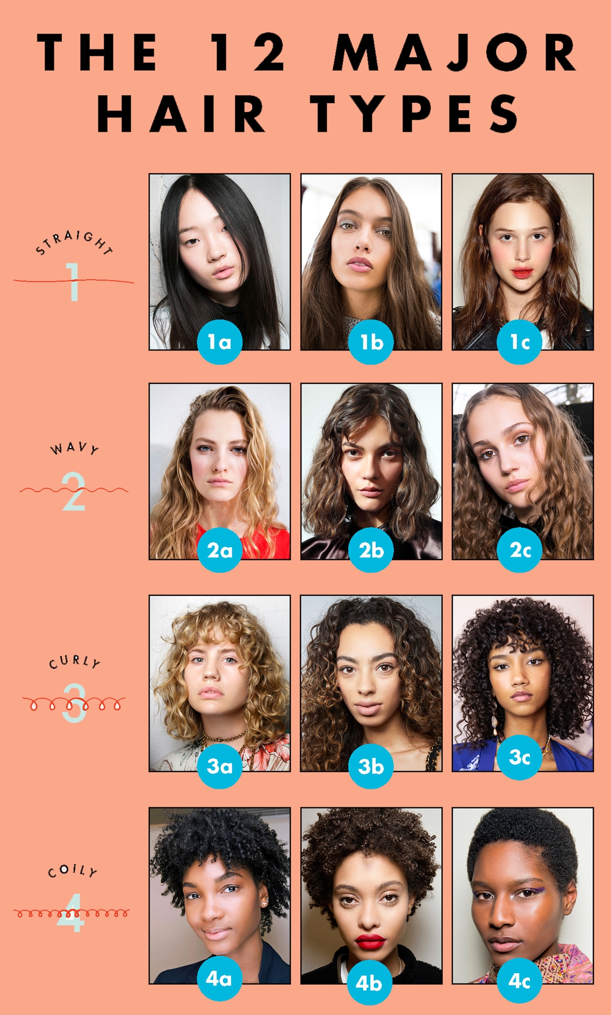 hair types chart hair types chart