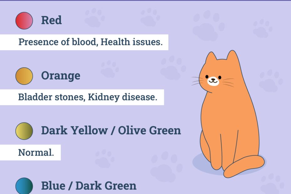 What Do The PrettyLitter Colors Mean Explanation With Color Chart