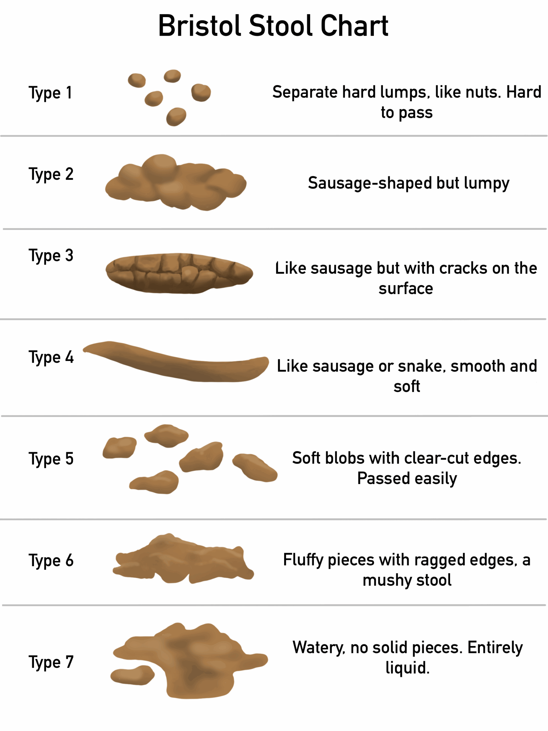 What Does Your Poo Look Like Bristol Stool Chart Lystra Physical 