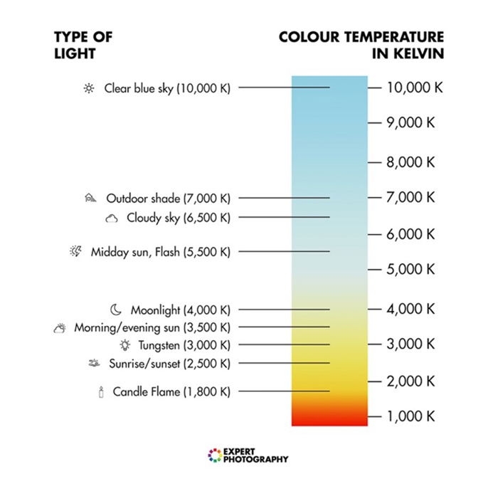 What Is Color Temperature And How To Use It In Photography 