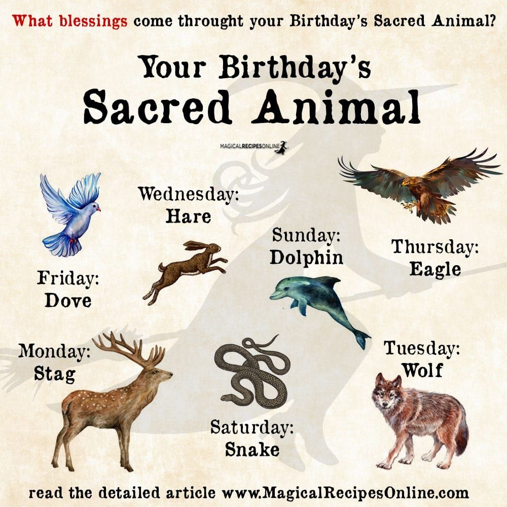 What Is My Chinese Spirit Animal By Birthday Calendar Example And Ideas