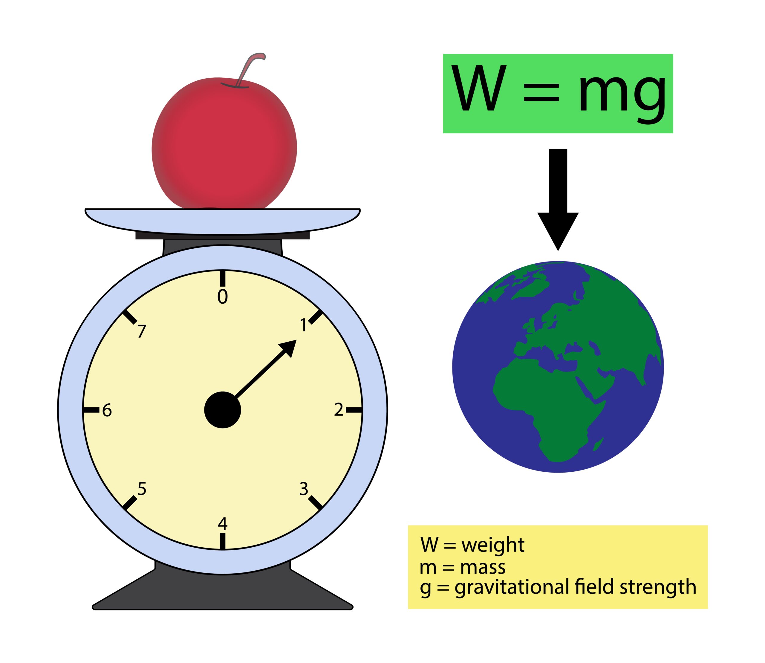 What Is The Difference Between Mass And Weight 