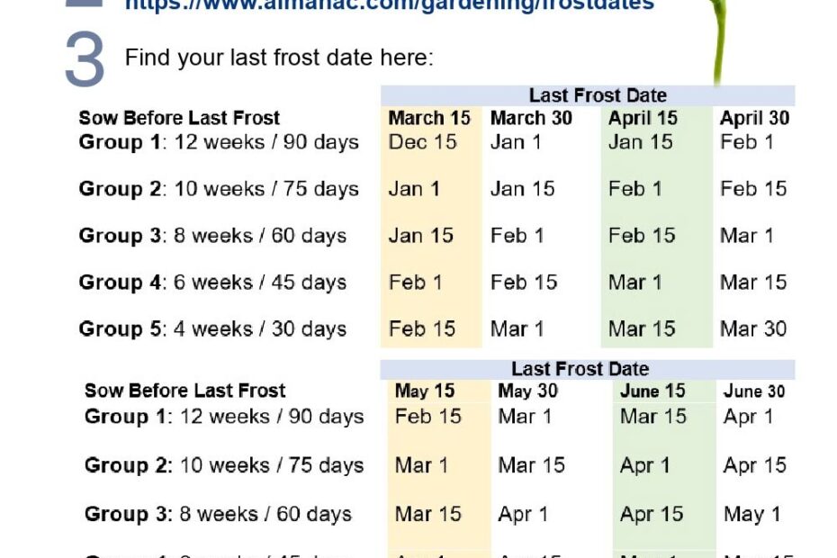 When To Start Seeds Indoors Easy Printable Sowing Plan