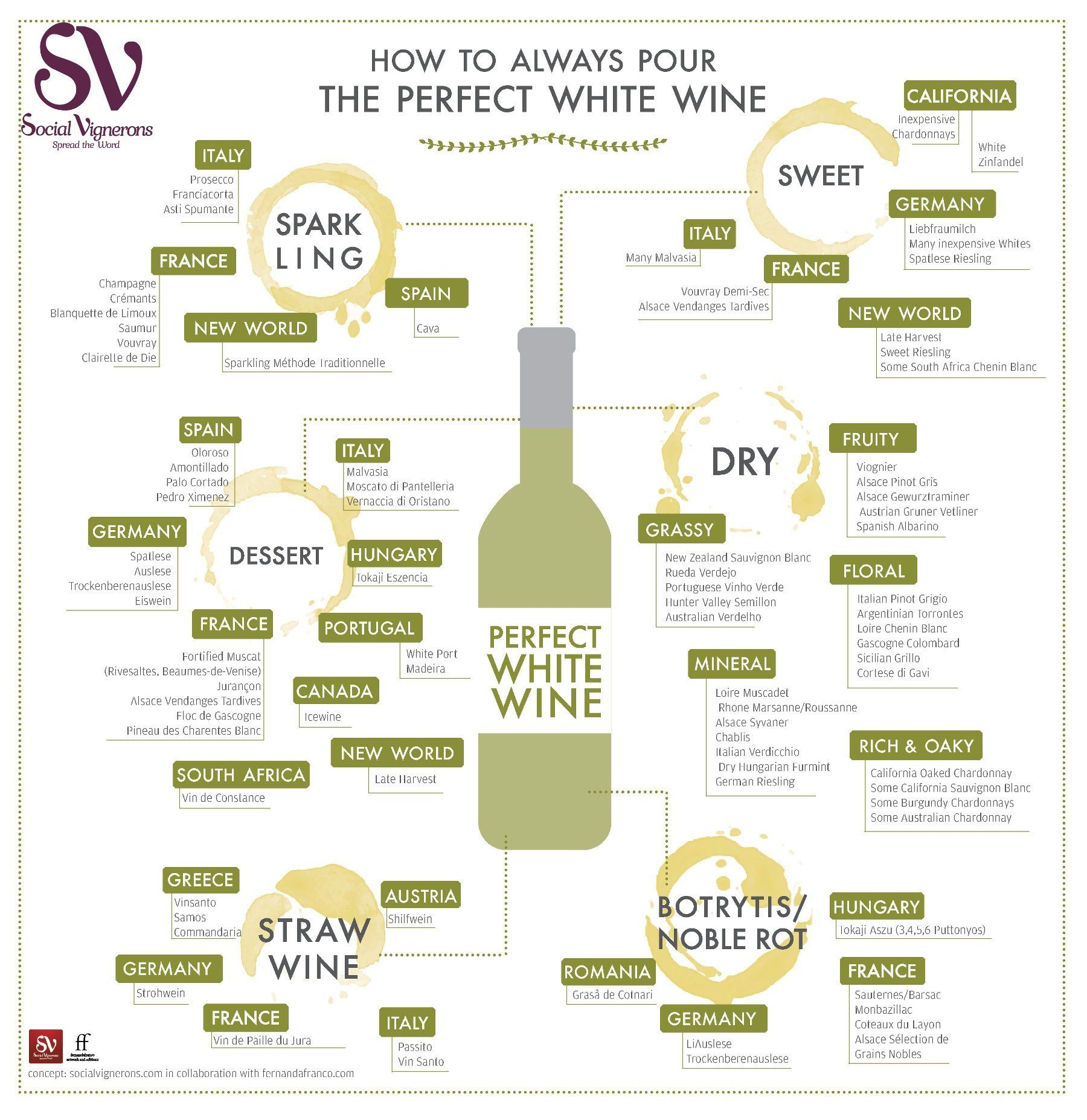 White Wine Flavor Chart Minimalist Chart Design